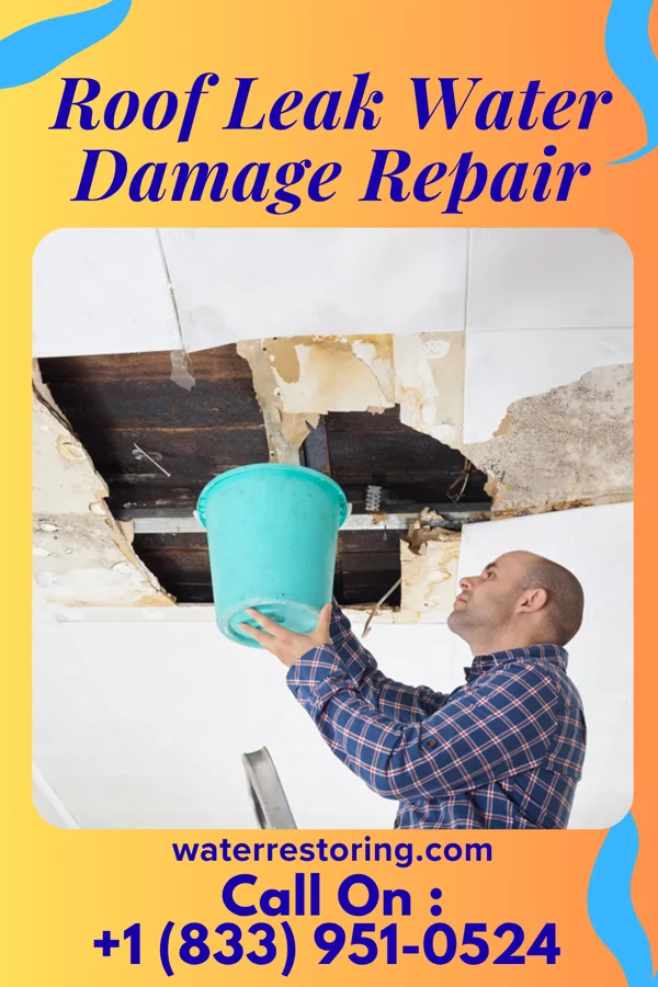 Roof Leak Water Damage Repair in Conesville, OH