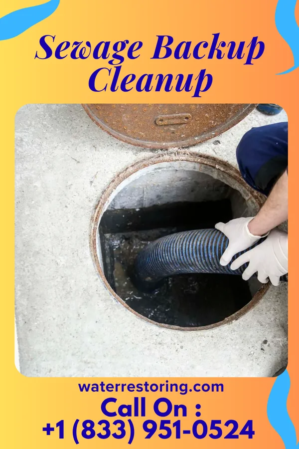 Sewage Backup Cleanup in Conesville, OH